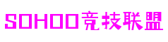北京市sohoo竞技联盟游戏代理有限公司